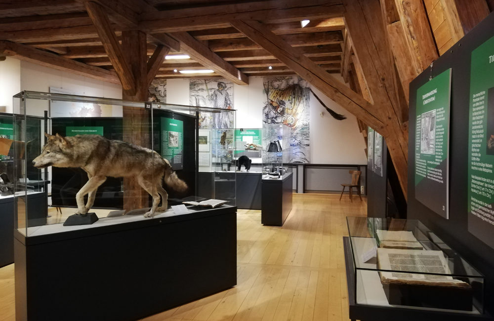 Sonderausstellung _Tiere in der Rechtsgeschichte